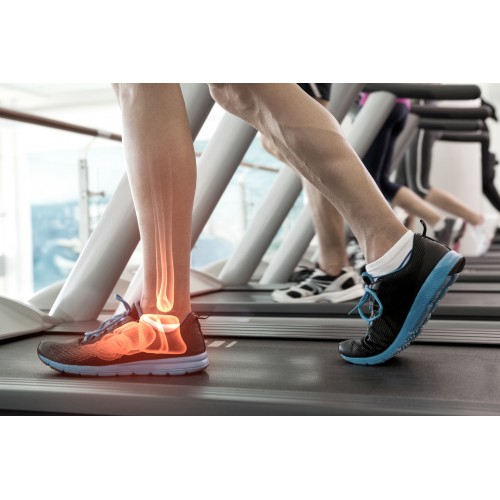 Seminario: Piede e caviglia, Milano